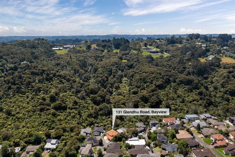 Photo of property in 131 Glendhu Road, Bayview, Auckland, 0629