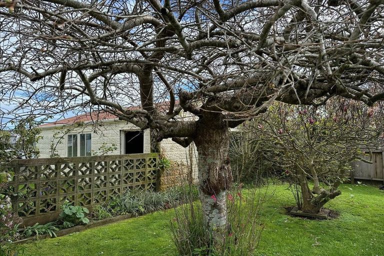 Photo of property in 14 Blake Street, Waitara, 4320