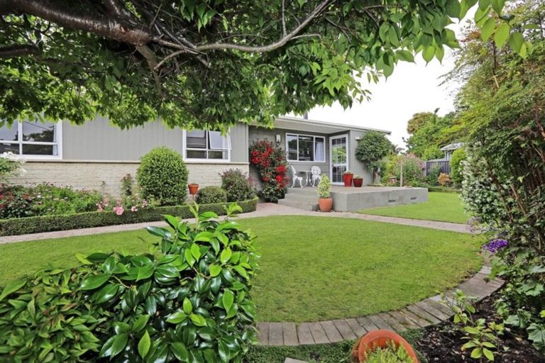 Photo of property in 229a Kenilworth Road, Mayfair, Hastings, 4122