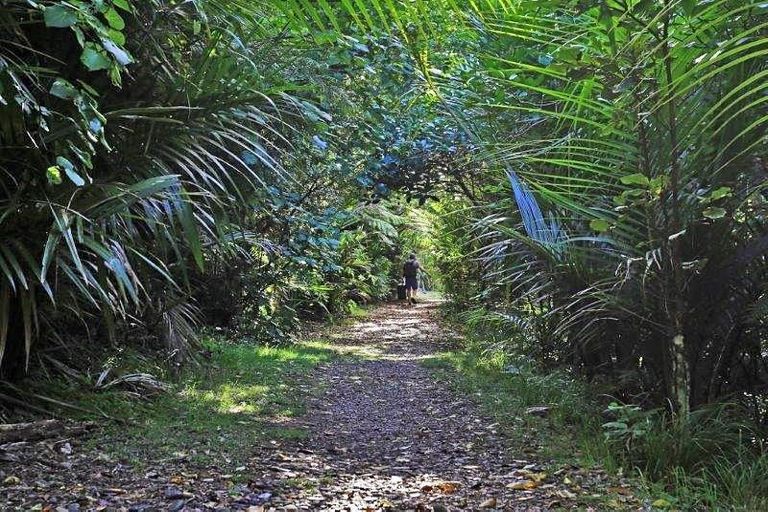 Photo of property in 11 Te Aroha Street, Hamilton East, Hamilton, 3216