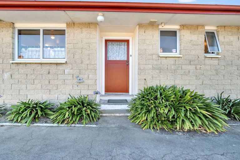 Photo of property in 3/8 Patching Street, Hampstead, Ashburton, 7700