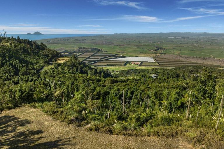 Photo of property in 147 Kokako Heights, Matata, 3194