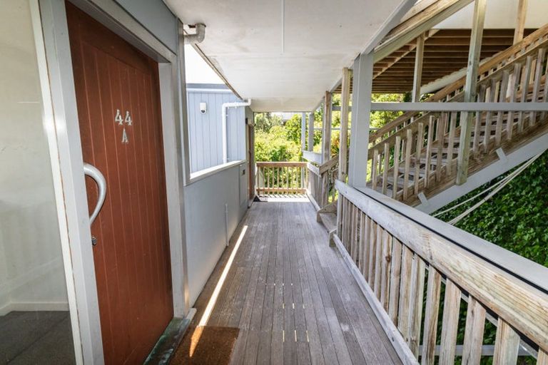 Photo of property in 44a Fairview Crescent, Kelburn, Wellington, 6012