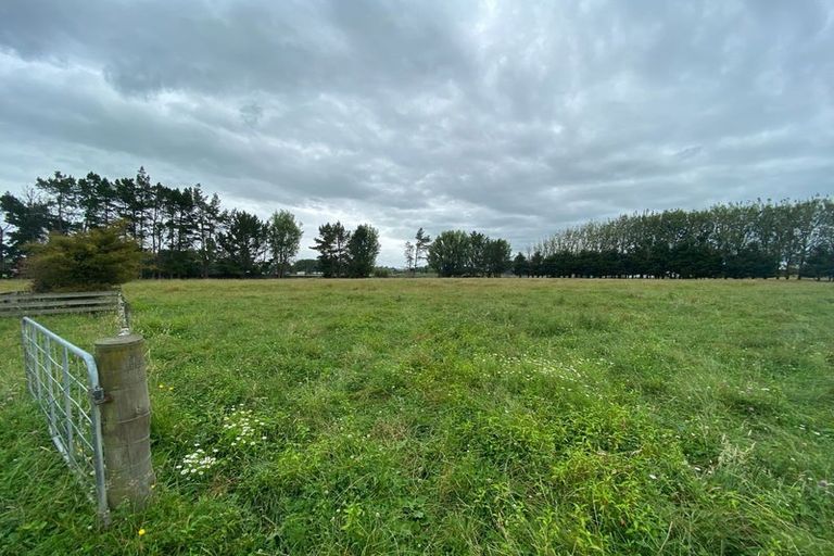 Photo of property in 156 Kawakawa Road, Feilding, 4775