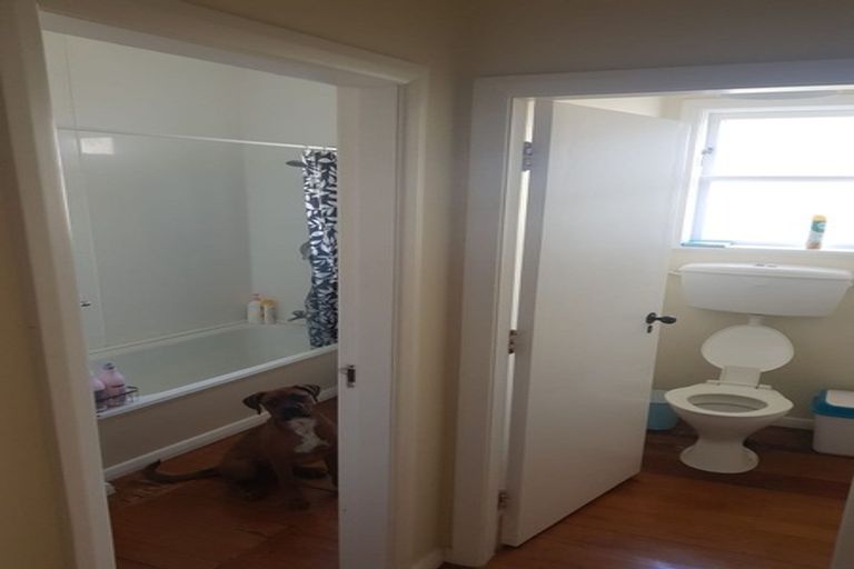 Photo of property in 58 Oxford Terrace, Epuni, Lower Hutt, 5011