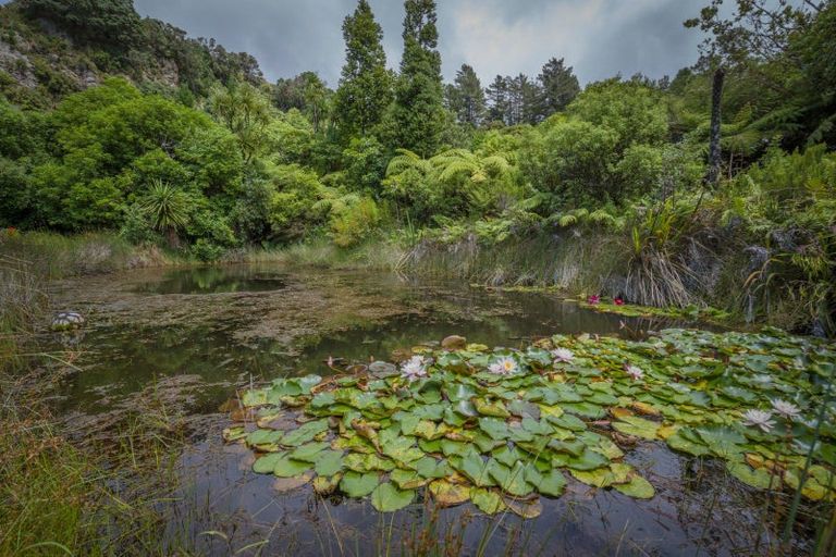 Photo of property in 127 Pumpkin Hill Road, Pumpkin Hill, Whitianga, 3591