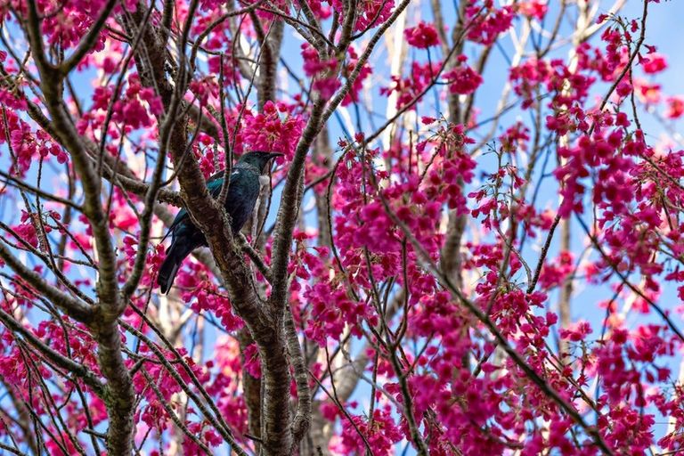 Photo of property in 773 Leigh Road, Whangateau, Warkworth, 0985