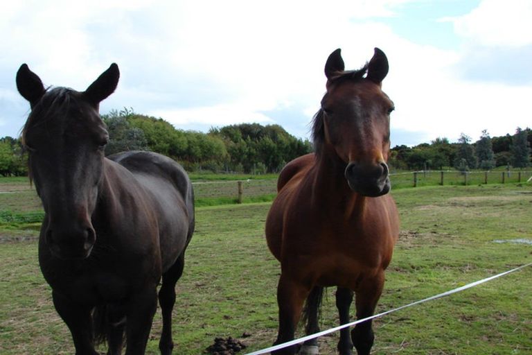 Photo of property in 242 Oreti Road, Otatara, Invercargill, 9879