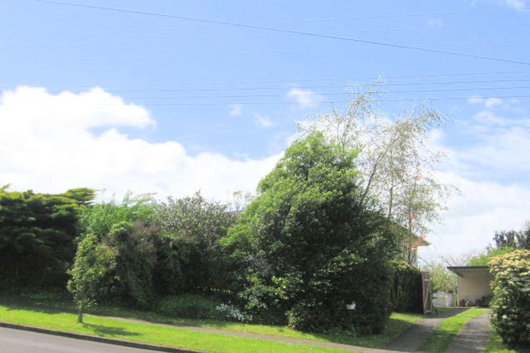 Photo of property in 29 Young Street, Morrinsville, 3300