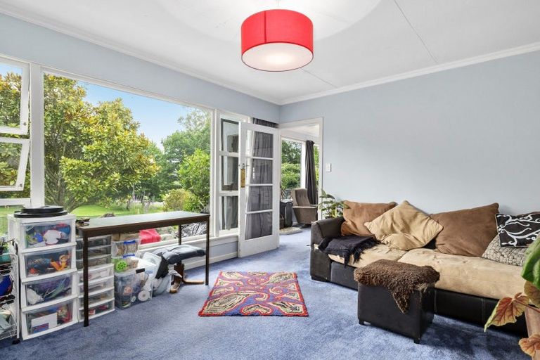 Photo of property in 879 Palmerston-waikouaiti Road, Goodwood, Palmerston, 9481