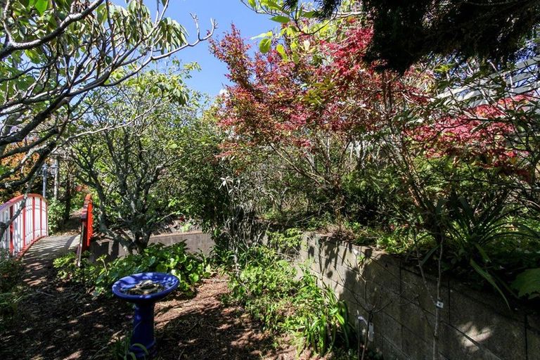 Photo of property in 172b Pembroke Street, Westown, New Plymouth, 4310