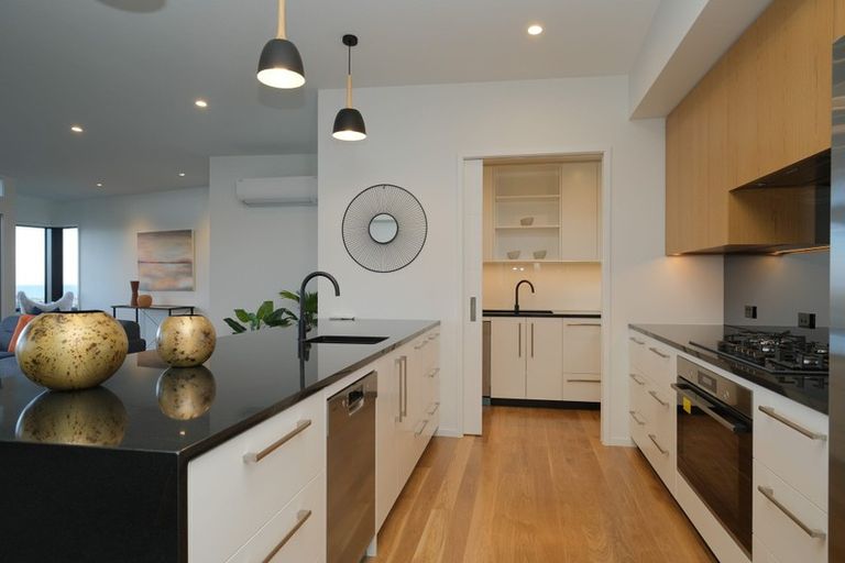 Photo of property in 18 Selkirk Street, Roslyn, Dunedin, 9010