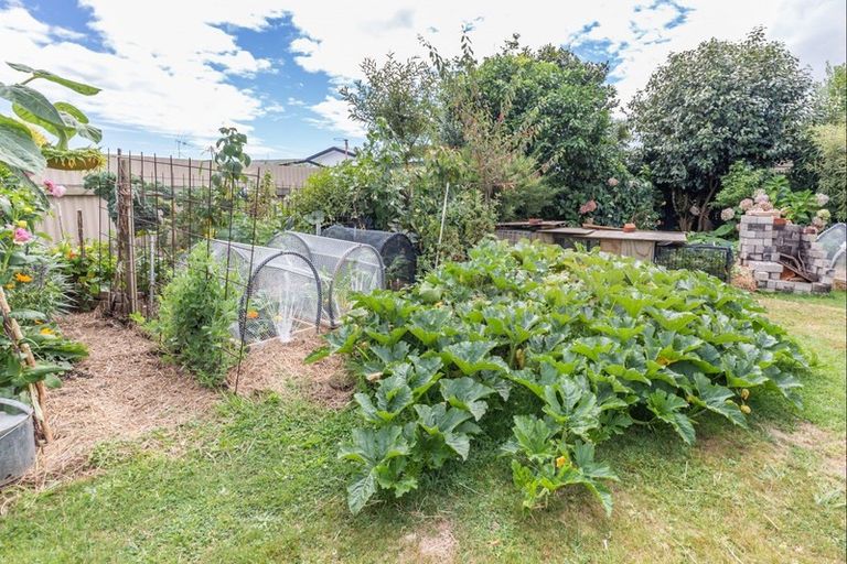 Photo of property in 21 Martin Harvey Street, Levin, 5510