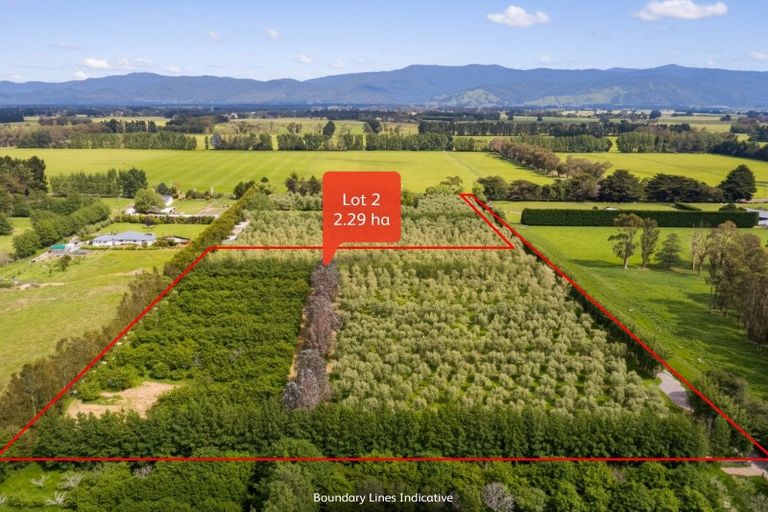 Photo of property in 179 Bidwills Cutting Road, Morison Bush, Greytown, 5794