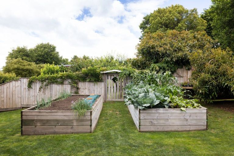 Photo of property in 912 Bond Road, Te Awamutu, 3879