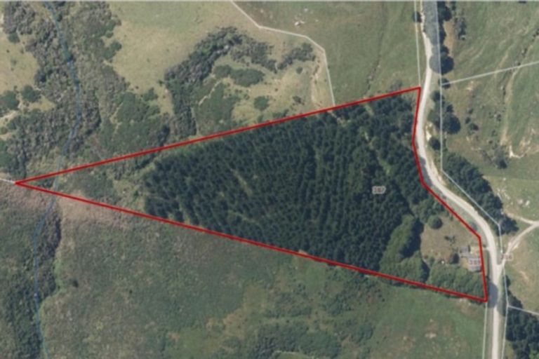 Photo of property in 389 Birch Road North, Weber, 4970