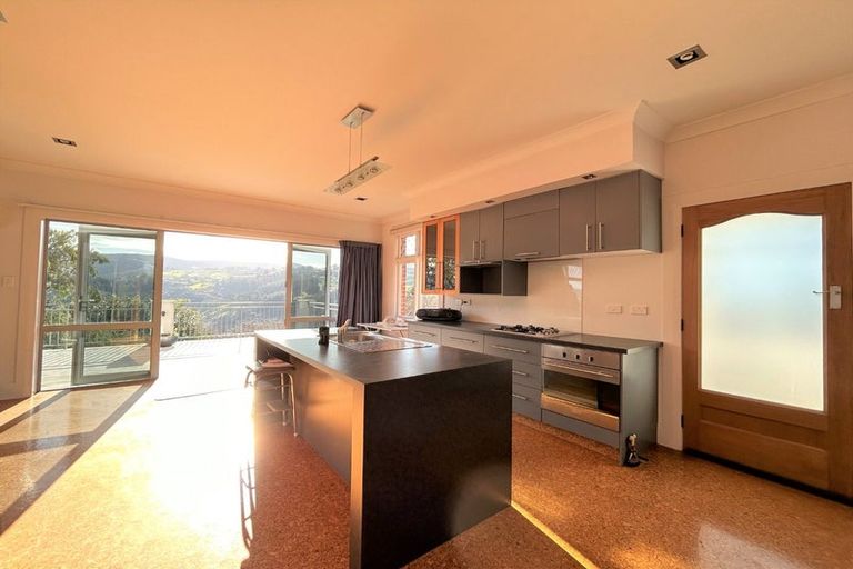 Photo of property in 113 Signal Hill Road, Opoho, Dunedin, 9010