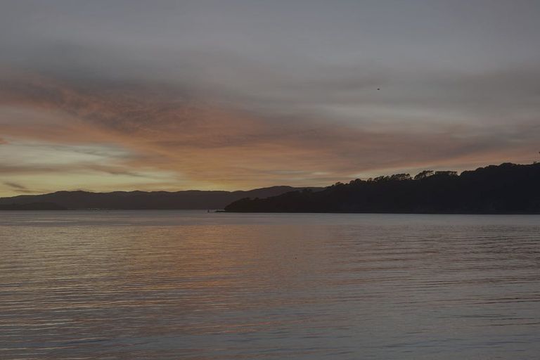 Photo of property in 62 Evans Bay Parade, Roseneath, Wellington, 6021