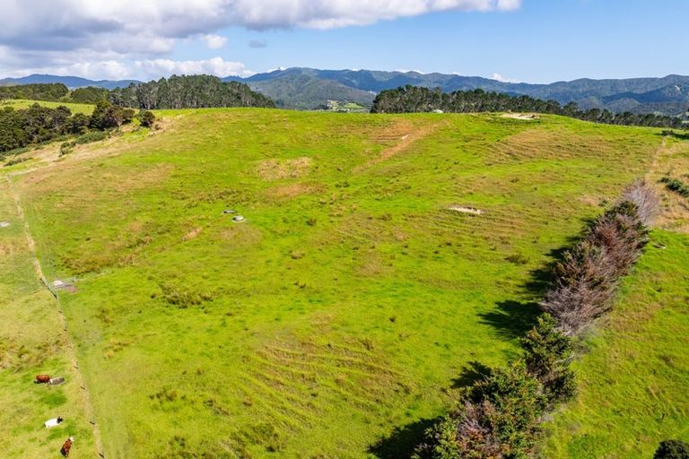 Photo of property in 64 De Boer Lane, Mangawhai, Kaiwaka, 0573