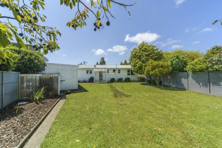 Photo of property in 99 Buick Crescent, Awapuni, Palmerston North, 4412