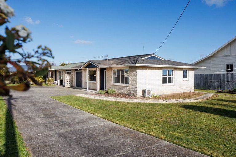 Photo of property in 23a Hobson Street, Feilding, 4702
