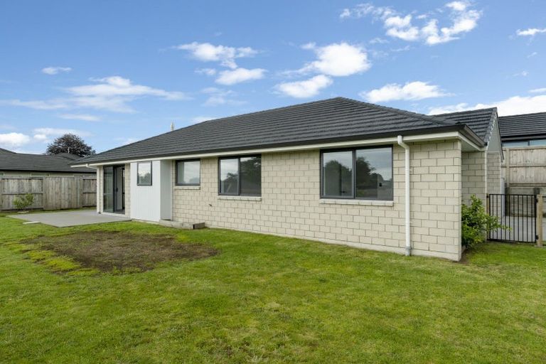 Photo of property in 40 Tynan Street, Te Puke, 3119