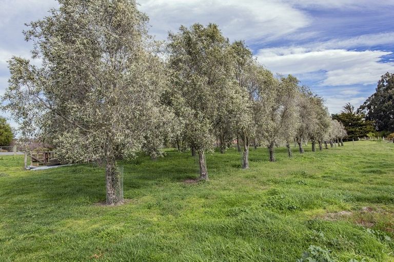 Photo of property in 16 Ropley Street, Amberley, 7410