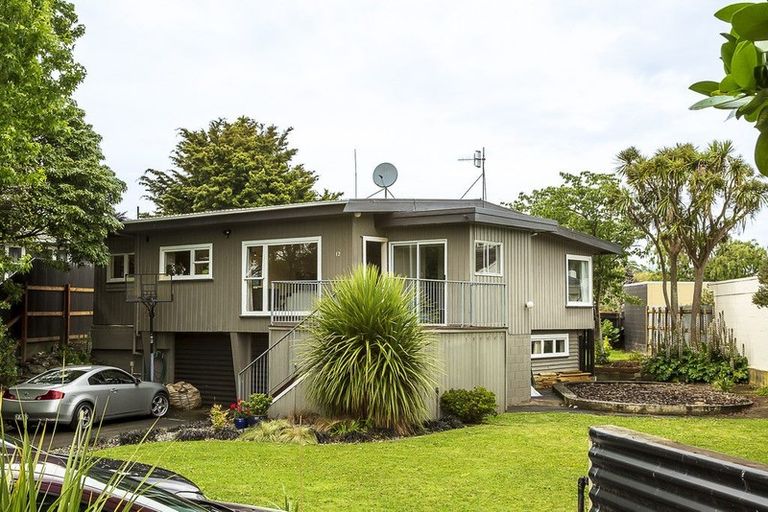 Photo of property in 12 Kent Crescent, Awapuni, Palmerston North, 4412