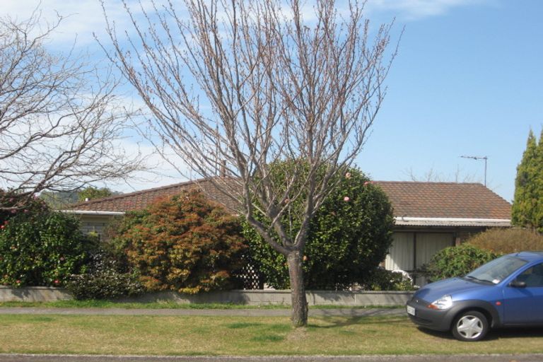 Photo of property in 16c Grey Street, Glenholme, Rotorua, 3010