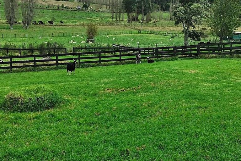 Photo of property in 28 Matakohe Road East, Matakohe, 0593