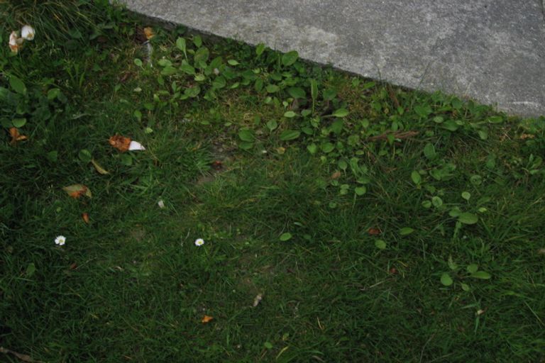 Photo of property in 7 Pencarrow Crescent, Wainuiomata, Lower Hutt, 5014