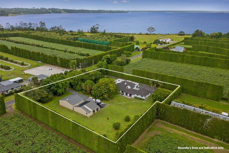 Photo of property in 126 Pukakura Road, Katikati, 3178