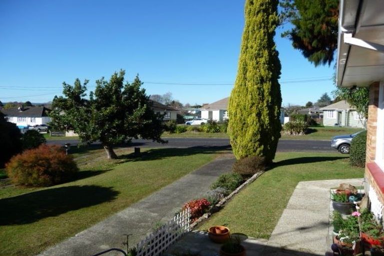 Photo of property in 16 Clothier Street, Putaruru, 3411