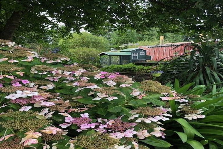 Photo of property in 139 Kings Road, Leithfield, 7481