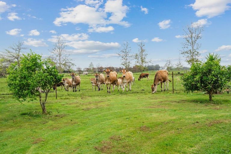 Photo of property in 43 Ted Erceg Road, Ruakaka, Whangarei, 0171