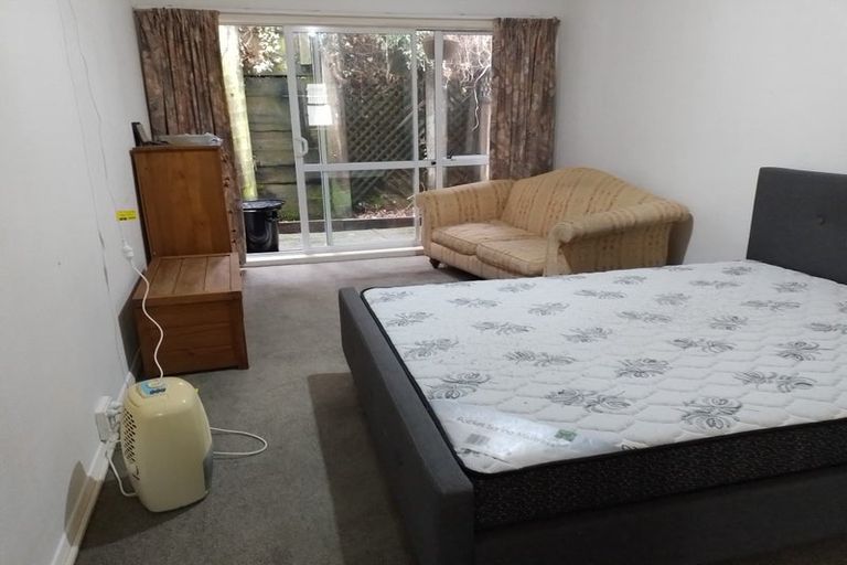 Photo of property in Avon Apartments, 2/313 The Terrace, Te Aro, Wellington, 6011