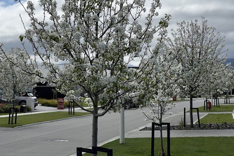 Photo of property in 26 Whitehall Drive, Springlands, Blenheim, 7201