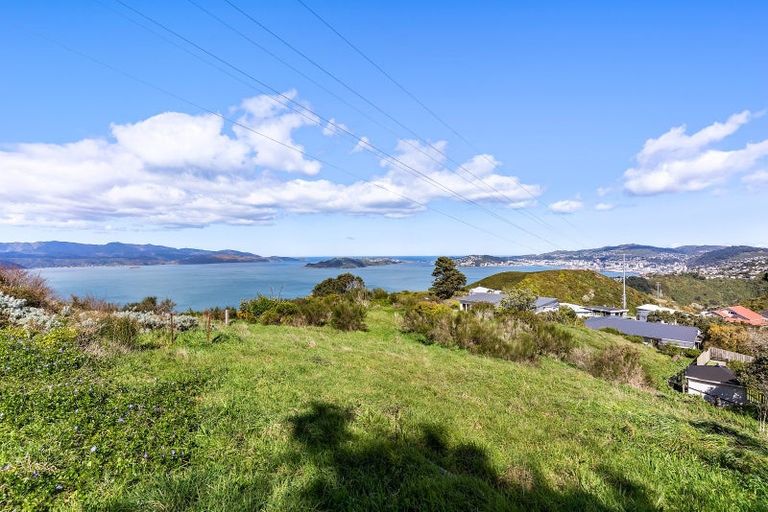 Photo of property in 51 Edgecombe Street, Newlands, Wellington, 6037