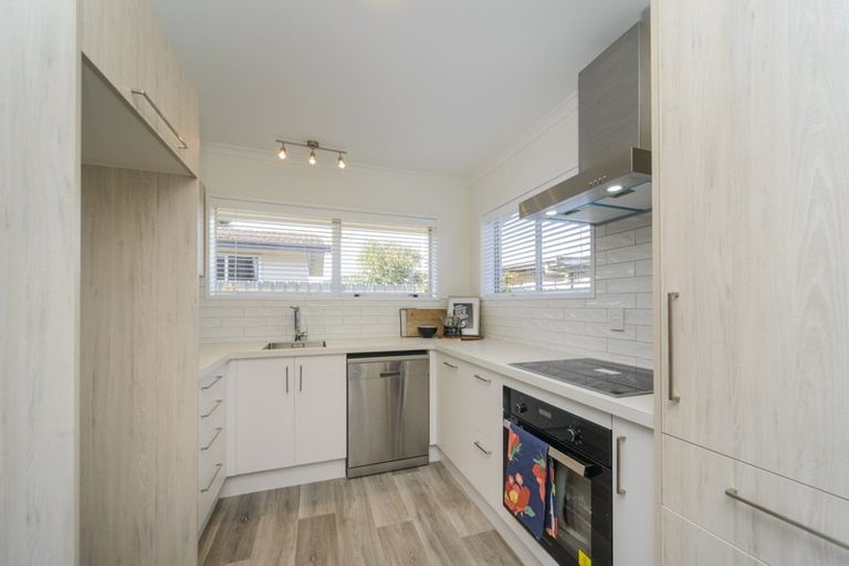 Photo of property in 176b Ruahine Street, Roslyn, Palmerston North, 4414