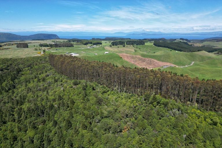 Photo of property in 1401 Whangamata Road, Marotiri, Taupo, 3377