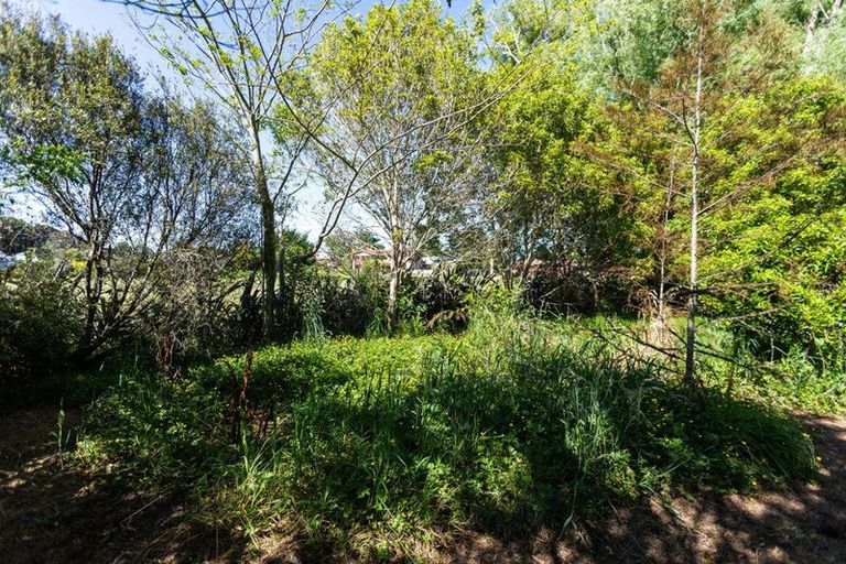 Photo of property in 55 Station Road, Paeroa, 3600