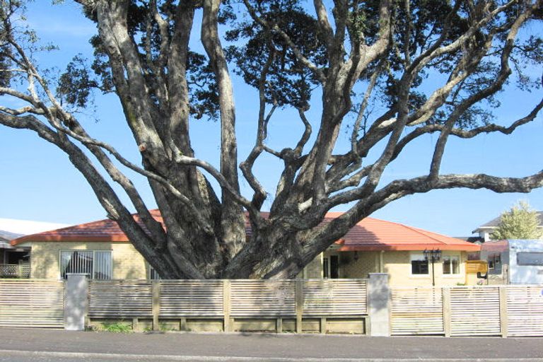 Photo of property in 4 Morley Street, New Plymouth, 4310