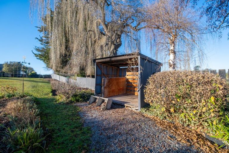 Photo of property in 102 Cox Street, Geraldine, 7930