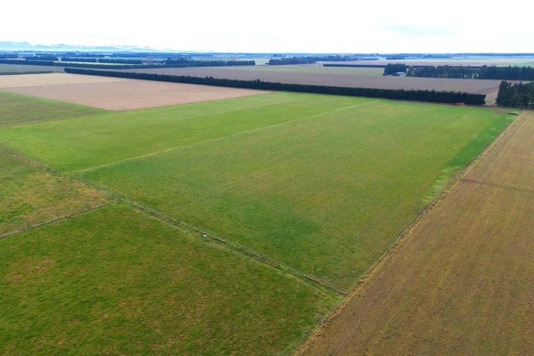 Photo of property in 74 Jamiesons Road, Chertsey, Ashburton, 7772