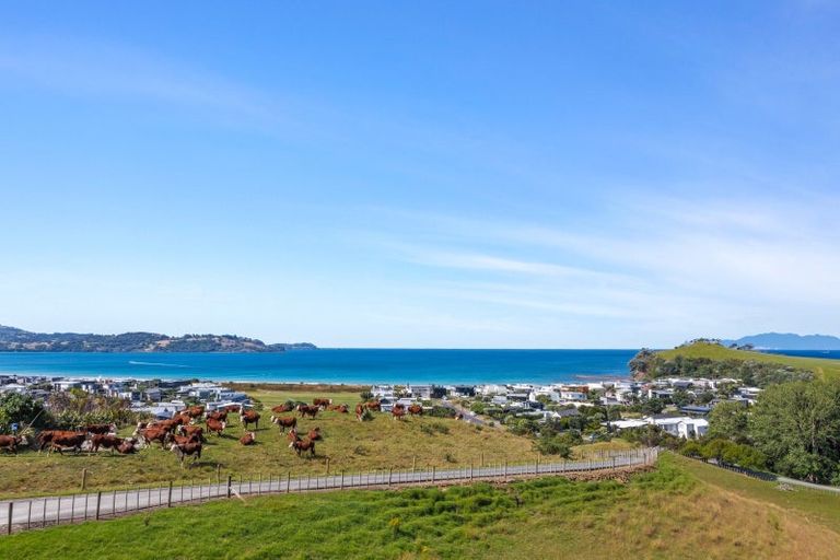 Photo of property in 233 Mangatawhiri Road, Omaha, 0986