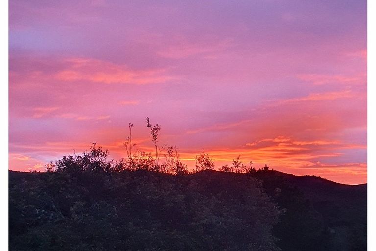 Photo of property in 19 Tui Grove, Paihia, 0200