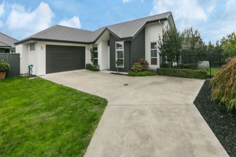 Photo of property in 29 Greenlea Place, Frimley, Hastings, 4120