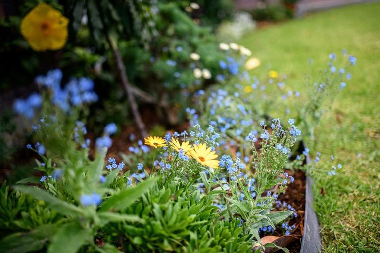 Photo of property in 4/39 Swanson Road, Henderson, Auckland, 0610