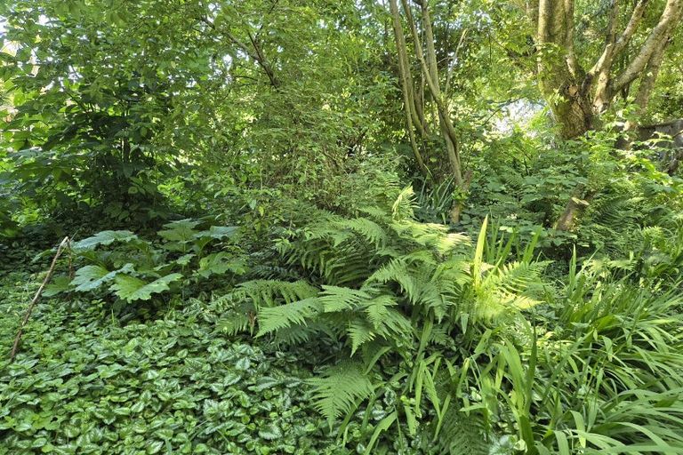 Photo of property in 79 Marama Avenue North, Otatara, Invercargill, 9879