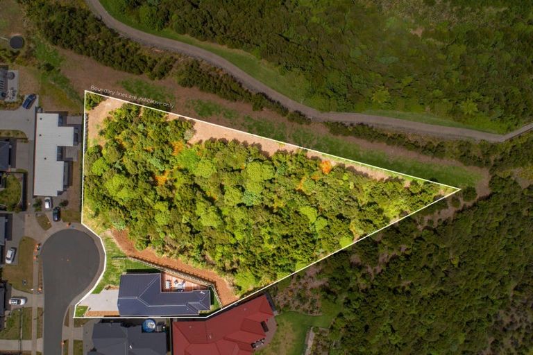 Photo of property in 32 Blacklock Road, Pyes Pa, Tauranga, 3112